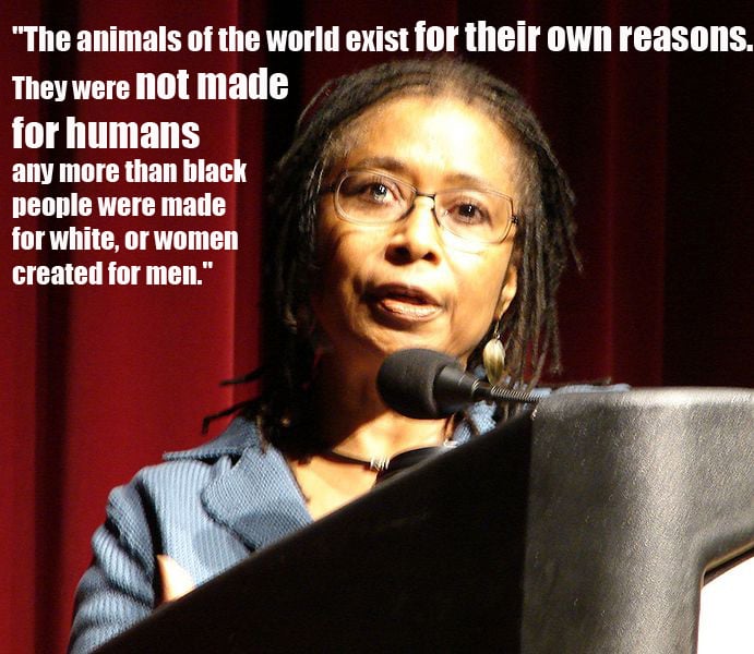 QUOTE Alice Walker