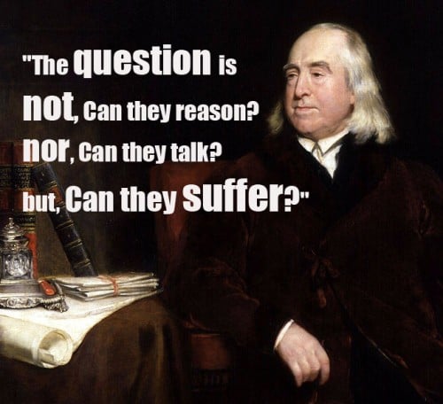15 Quotes From Famous Thinkers Who Got It Right About Animals 15 Quotes From Famous Thinkers Who Got It Right About Animals