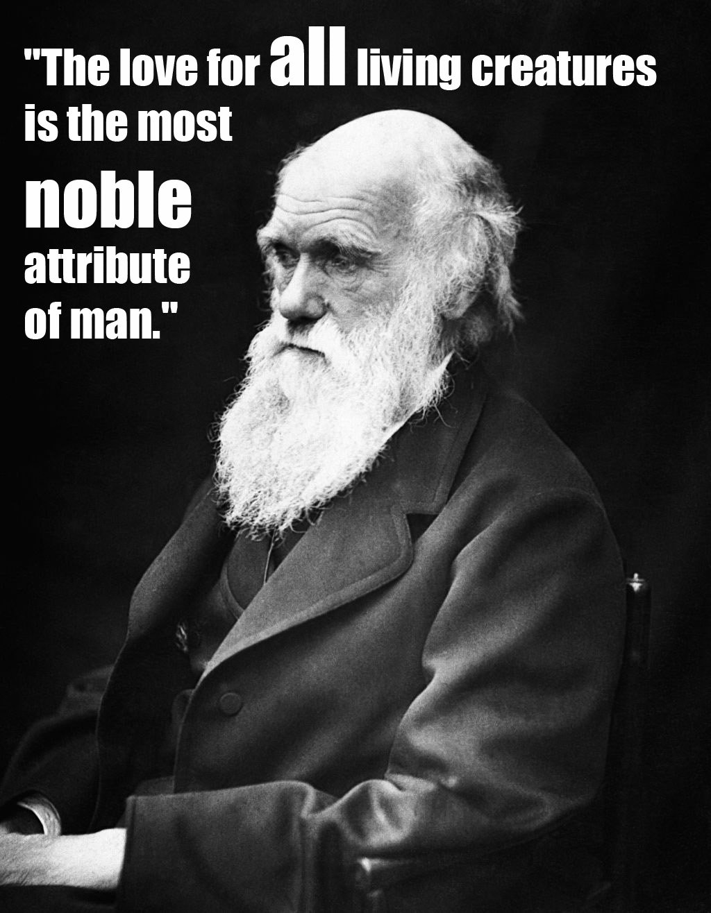 15 Quotes From Famous Thinkers Who Got It Right About Animals 15 Quotes From Famous Thinkers Who Got It Right About Animals