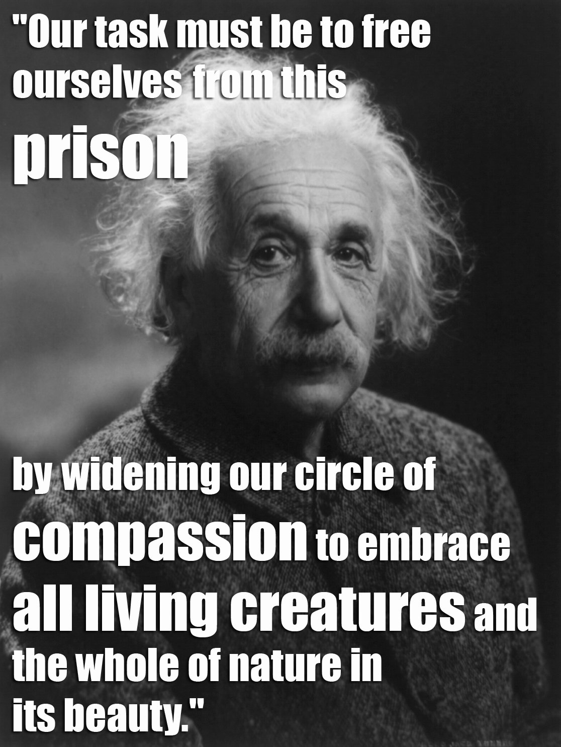 QUOTE Einstein