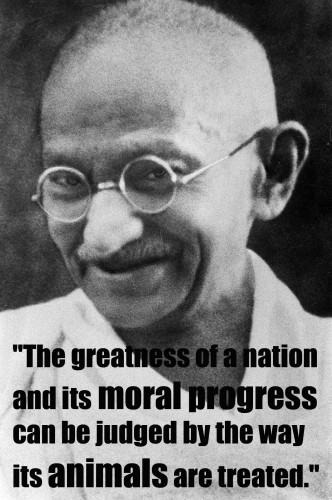Celebrate Gandhi's Birthday by Bringing Non-Violence Into Your Diet