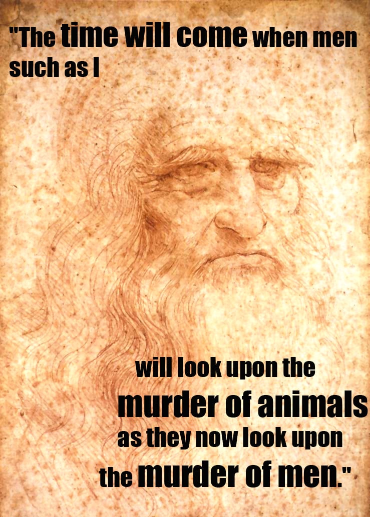 15 Quotes From Famous Thinkers Who Got It Right About Animals 15 Quotes From Famous Thinkers Who Got It Right About Animals