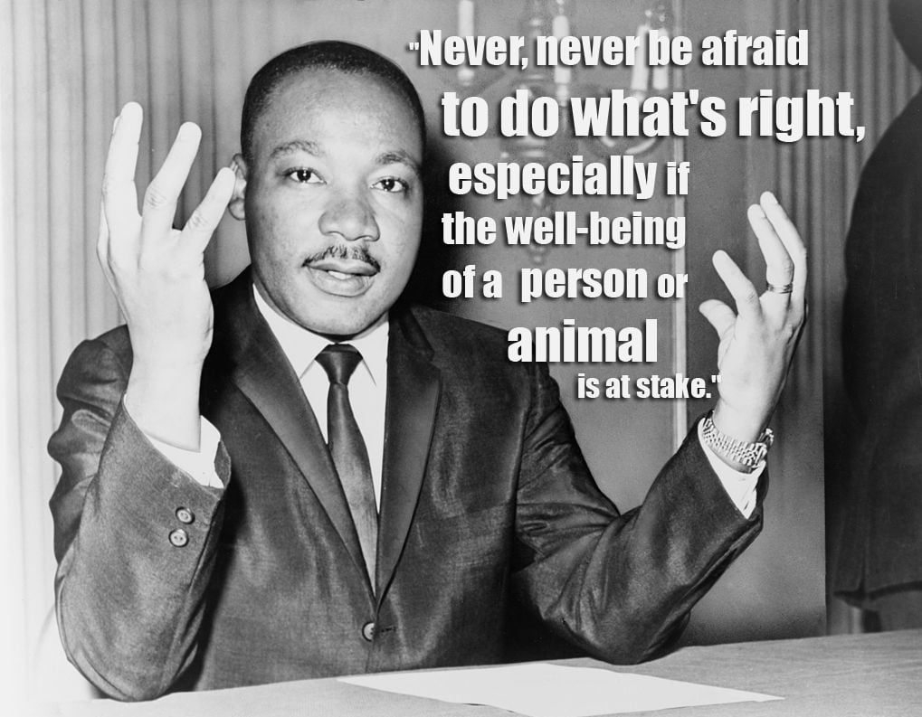 QUOTE MLK