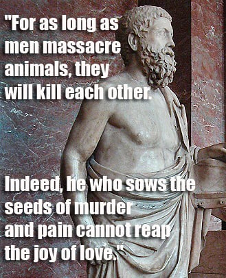 Love Animals Quotes Delectable 48 Quotes From Famous Thinkers Who Got It Right About Animals Love Animals Quotes Delectable 48 Quotes From Famous Thinkers Who Got It Right About Animals