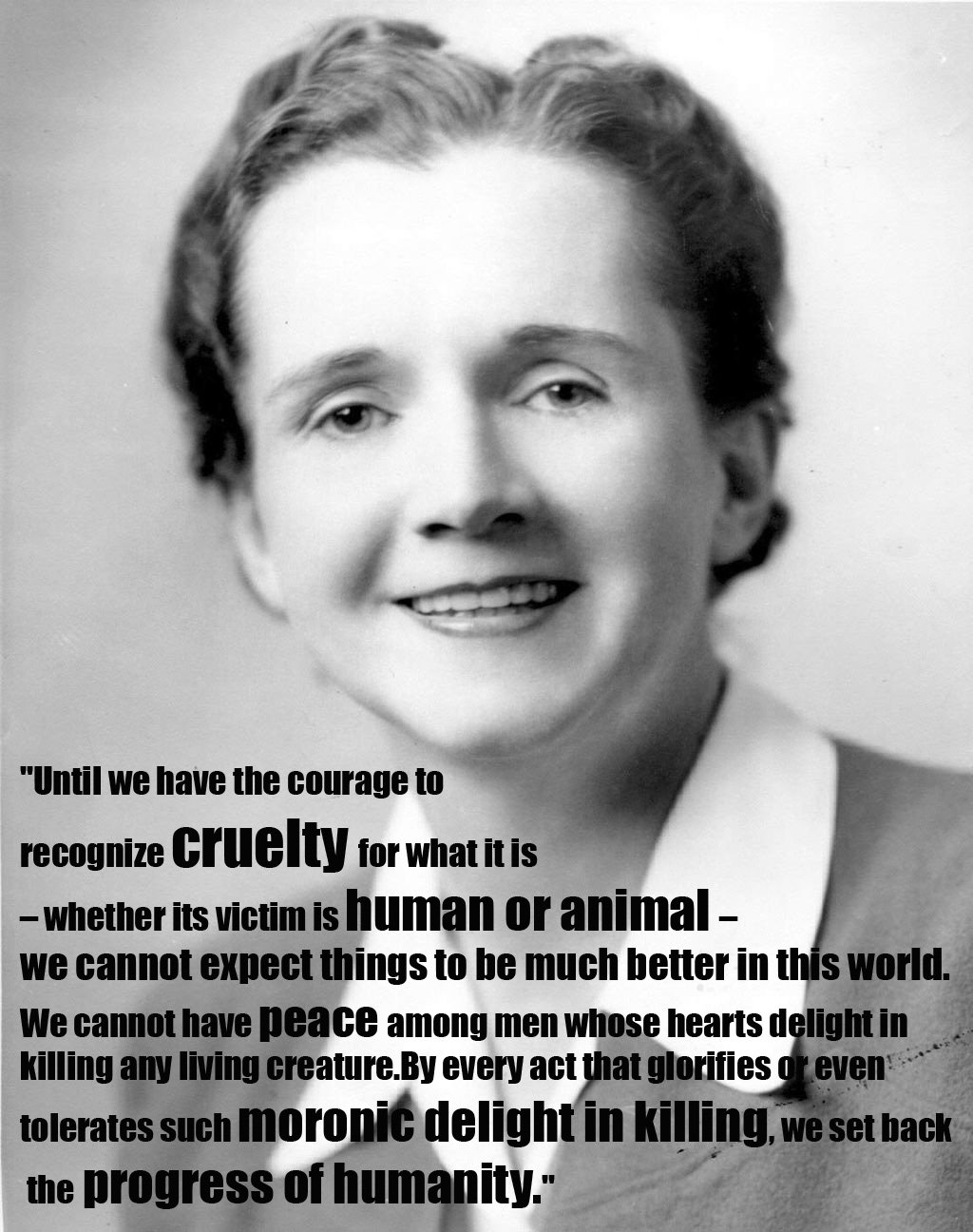 QUOTE Rachel Carson