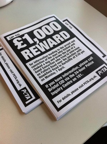 REWARD copy