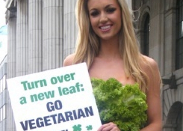 Rosanna Davison Is a ‘Lady in Green’ (Lettuce) in Run Up to St Paddy’s Day