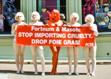 Fortnum & Mason Make Former Playboy Model ‘Cross’