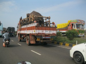 Sunder truck 2