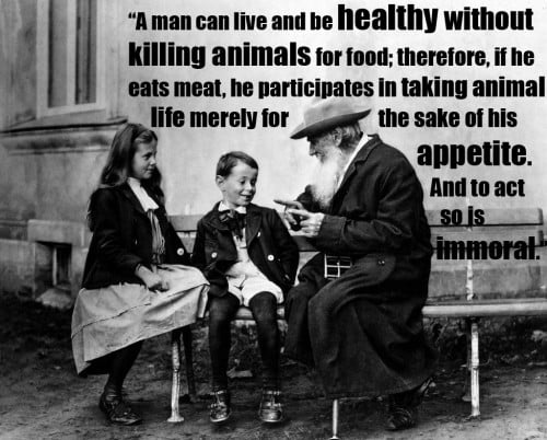 15 Quotes From Famous Thinkers Who Got It Right About Animals 15 Quotes From Famous Thinkers Who Got It Right About Animals