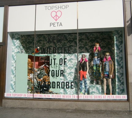 Topshop exotic skins window full view (small)