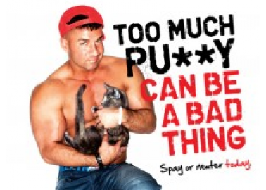 The Situation Speaks Up to End Animal Overpopulation