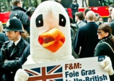 Camilla’s Niece Tells Fortnum & Mason That Foie Gras Has No Place on British Shelves