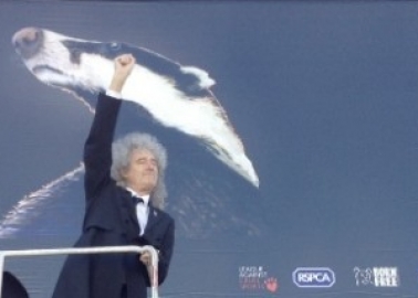Brian May Is the Champion: Musician Named PETA UK’s Person of the Year