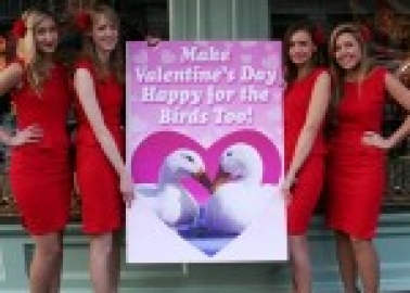 Four Gorgeous Girls Deliver Huge Valentine’s Day Card to Fortnum & Mason