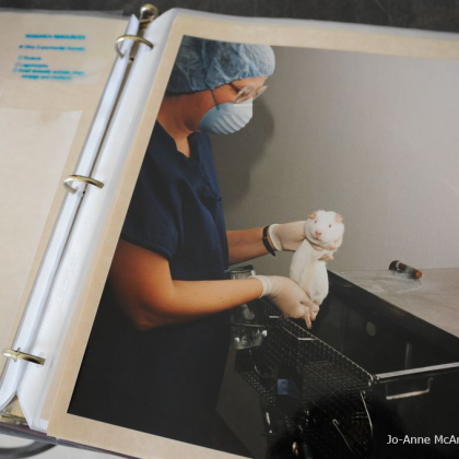 Animal Testing in Medical Experiments