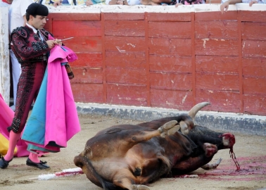 JM Coetzee: Bullfighting Is a Disgrace