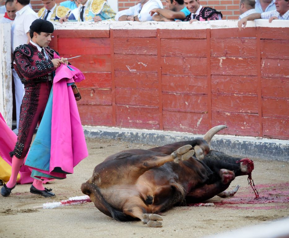 We Animals_Bullfighting