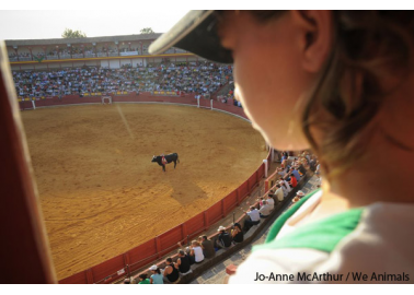 Just Don’t Book It – Travel Companies Refuse to Promote Bullfighting