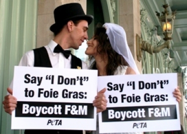 PETA’s Own Happy Couple ‘Wed’ at Fortnum & Mason to Help Birds