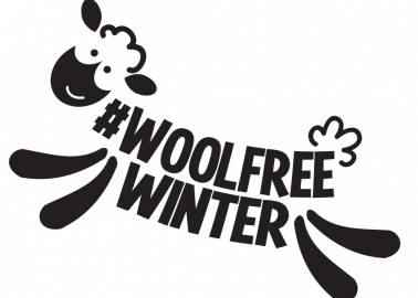 11 Reasons to Have a Wool-Free Winter