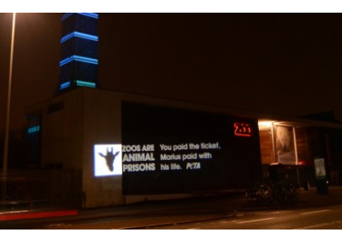 VIDEO: Action for Marius at Copenhagen Zoo