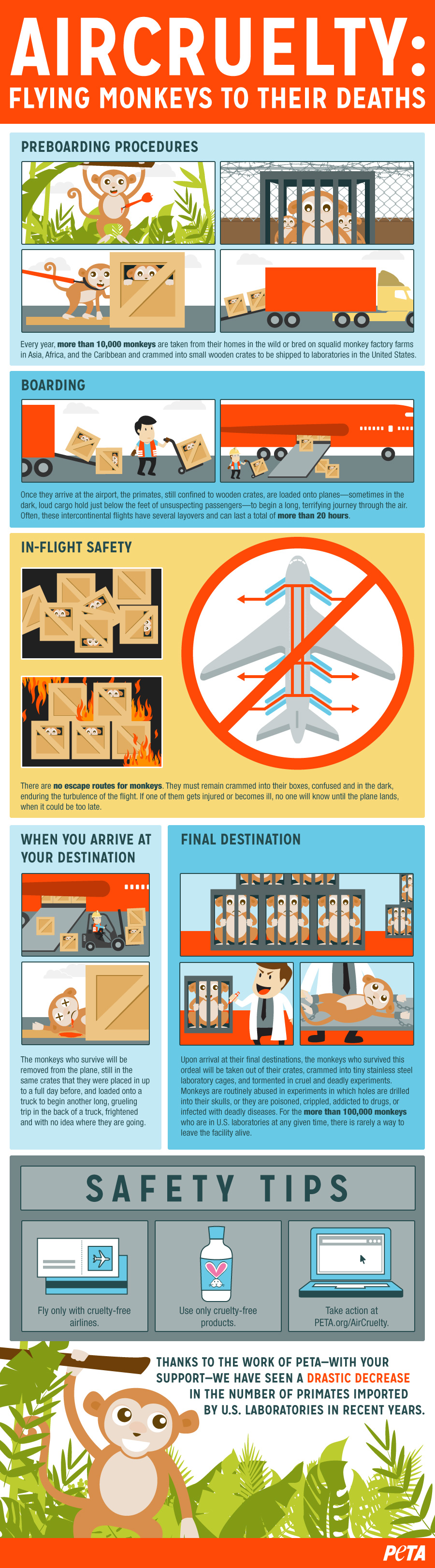 Air Cruelty Infographic