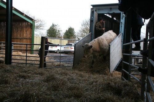 Benjy Arrives at Hillside