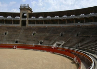 Victory for Bulls: Catalonia Bans Bullfighting!