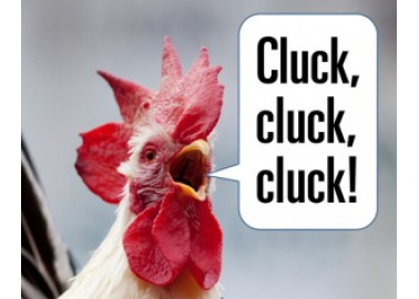 PETA to Distribute Revolutionary Chicken-Voice Translators