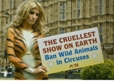 Hurrah! Government Finally Acts to Ban Wild Animals in Circuses!