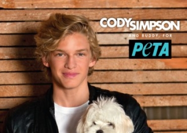 Cody Simpson: Animals Are Family