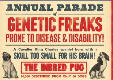 New PETA ‘Freak Show’ Ad Shines the Spotlight on Crufts