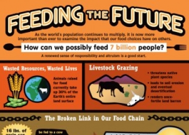 Feeding the Future (Infographic)
