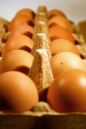 stock eggs