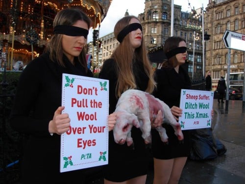 Princes Street anti-wool protest