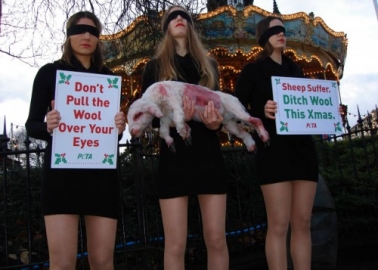 PHOTOS: Don’t Pull the Wool Over Your Eyes, Say Blindfolded Protesters