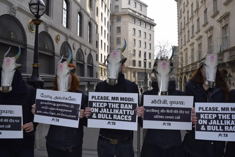 Jallikattu Demo at Indian Embassy