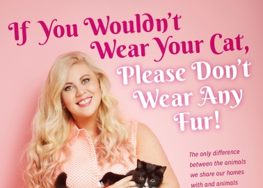 Cuteness Alert: Sprinkle of Glitter and Her Kitty, Zula, Take a Stand Against Fur