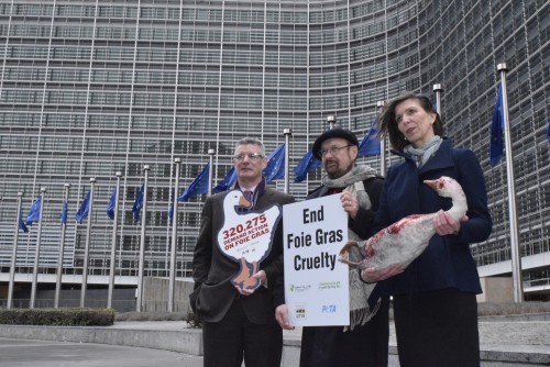 MEPs support calls for a crackdown on cruel foie gras production