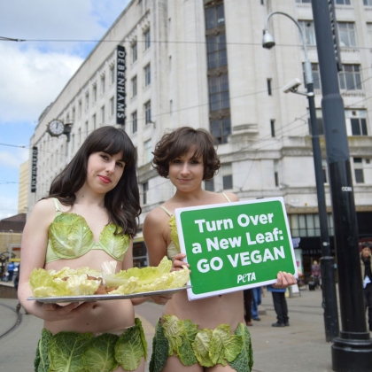 The Girl With the Coolest Job at PETA UK