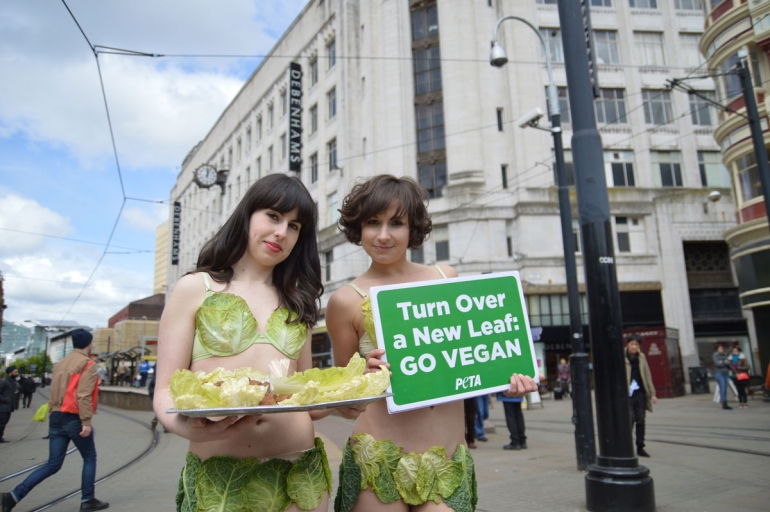 Kirsty in Lettuce Bikini