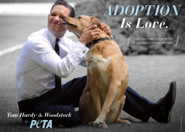 Tom Hardy and Woodstock Urge You to Adopt