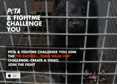 The ‘I’d Rather … Than Wear Fur’ Challenge
