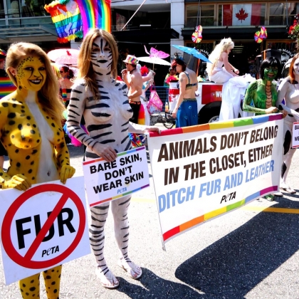 What Is Animal Rights?