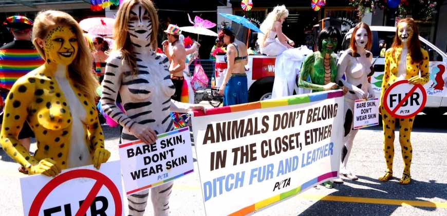 What Is Animal Rights? - PETA UK