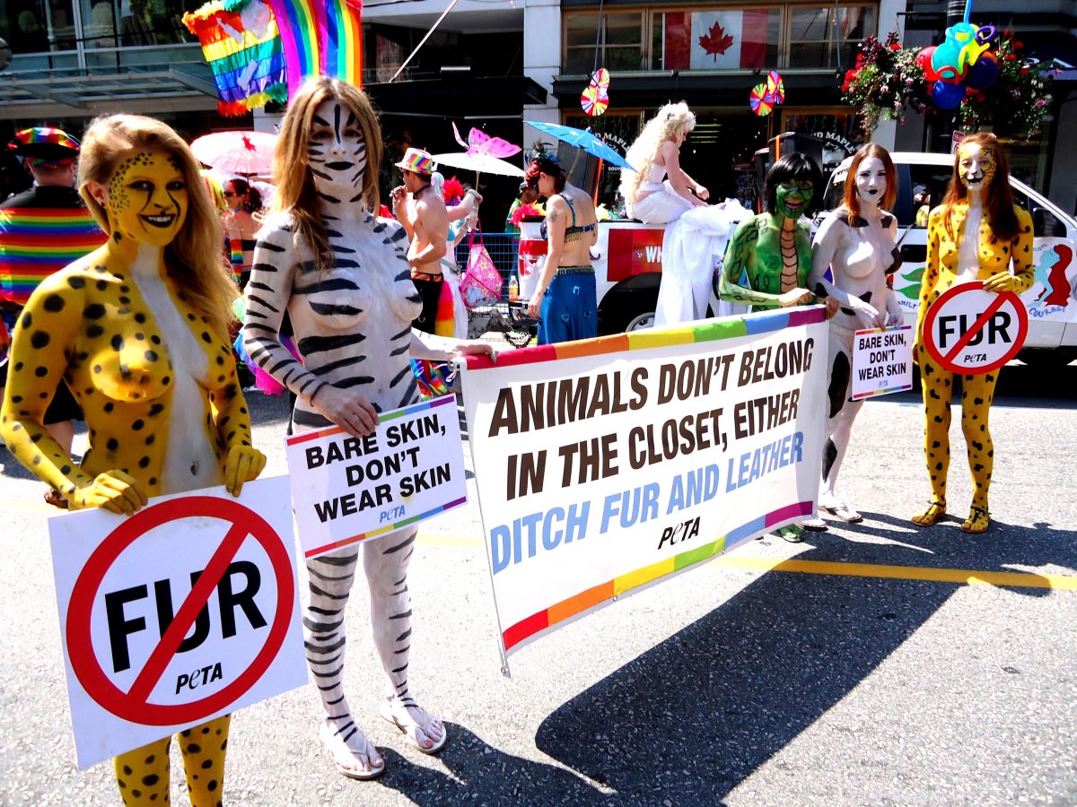 What Is Animal Rights? - PETA UK