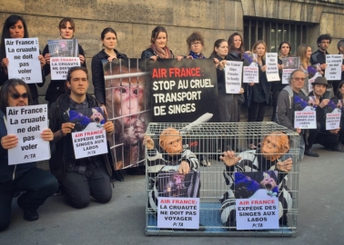 Air France Faces Awkward Questions About Cruelty to Monkeys at Its Own Annual Meeting
