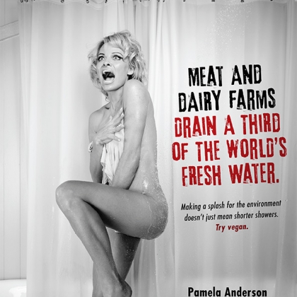 Pamela Anderson’s Shower Scene Makes a Splash