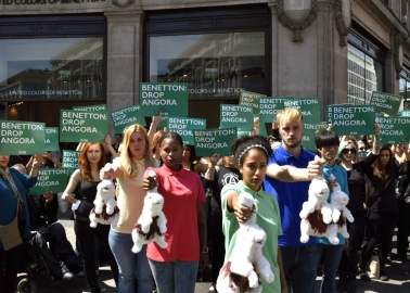 VICTORY! Benetton Bans Angora After Thousands Take Action